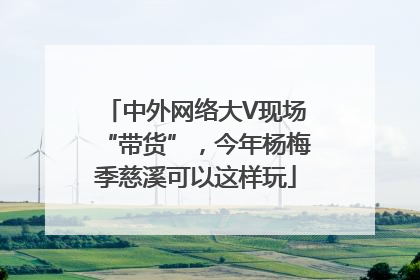 中外网络大V现场“带货”，今年杨梅季慈溪可以这样玩